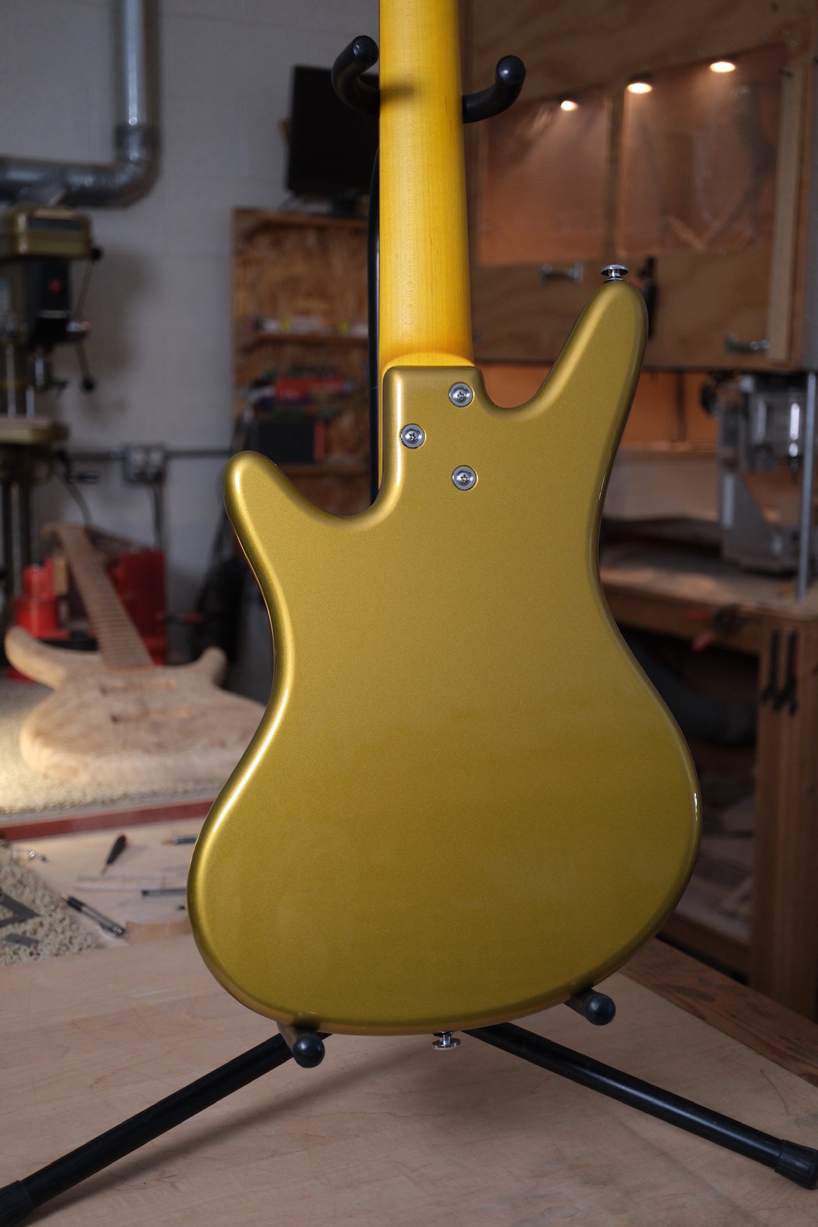 body photo of the Acinonyx V Short Scale Bass Guitar - Aztec Gold showing the neck heel