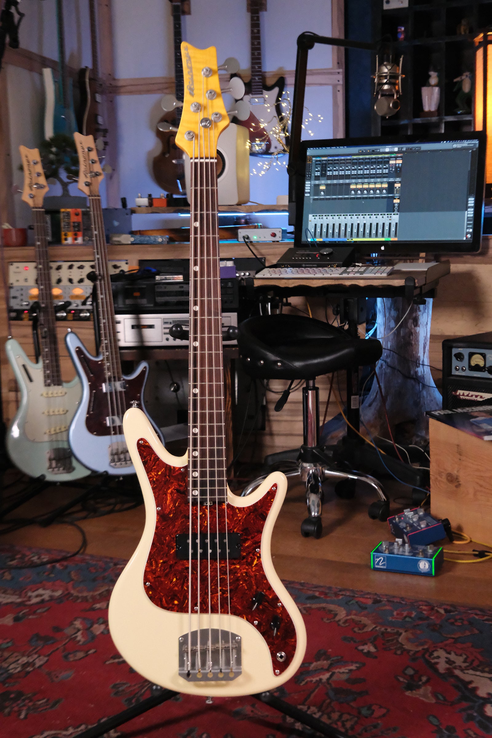 full front view of the Acinonyx V - Aged White