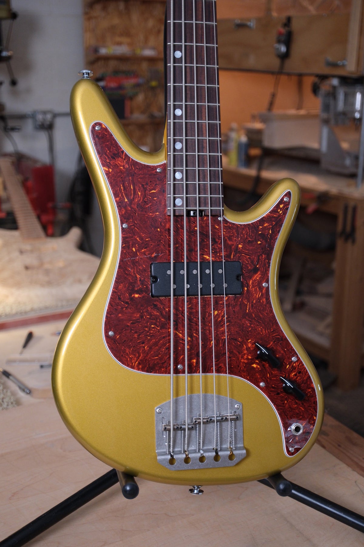 Photo of the front side of the body of the Acinonyx V Short Scale Bass Guitar - Aztec Gold showing a single pickup and two knobs on a tortoise shell pickguard and Gold body