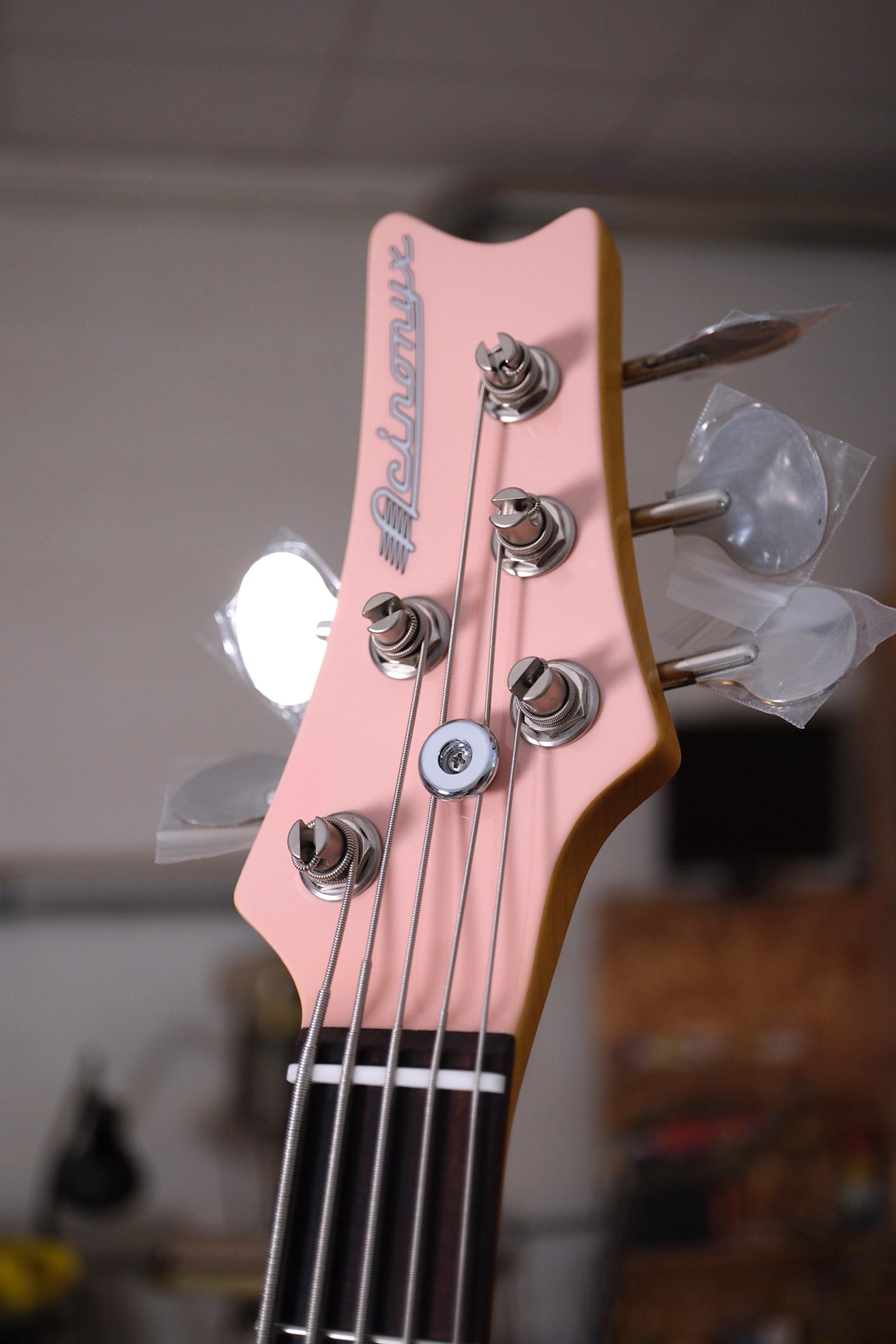 headstock photo of the Acinonyx V Short Scale Bass Guitar - Shell Pink