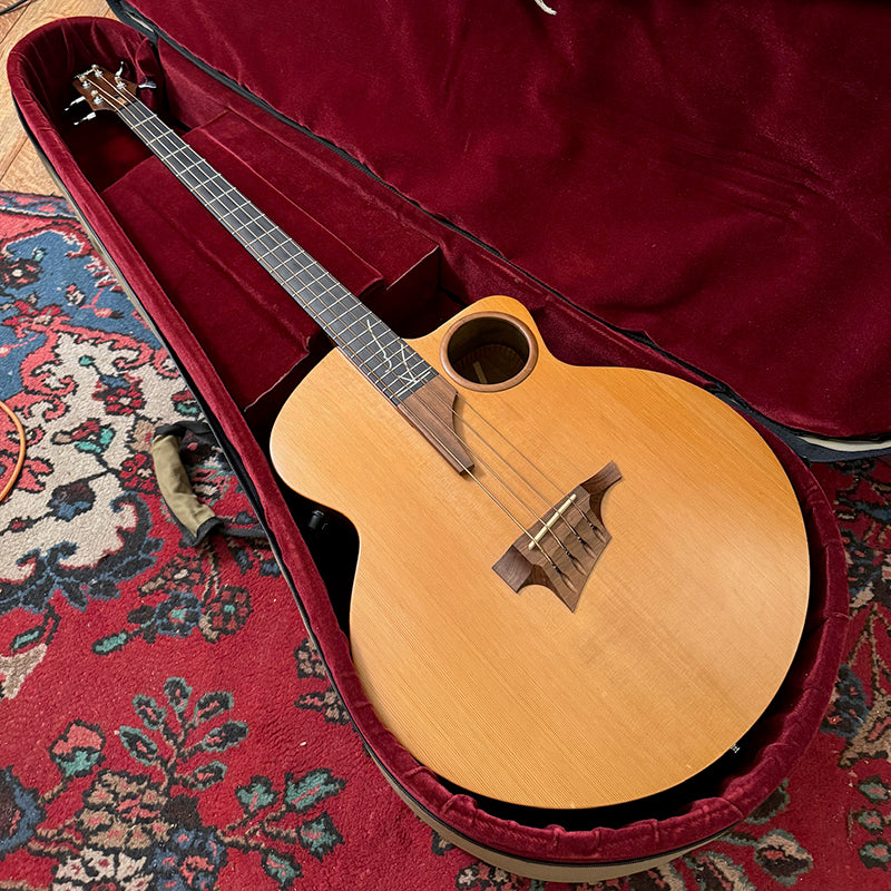 Classic Taylor Acoustic Bass with Fishman Pickups Pre-owned