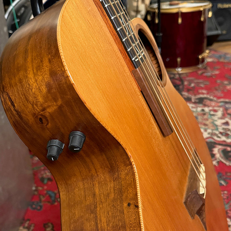 Classic Taylor Acoustic Bass with Fishman Pickups Pre-owned