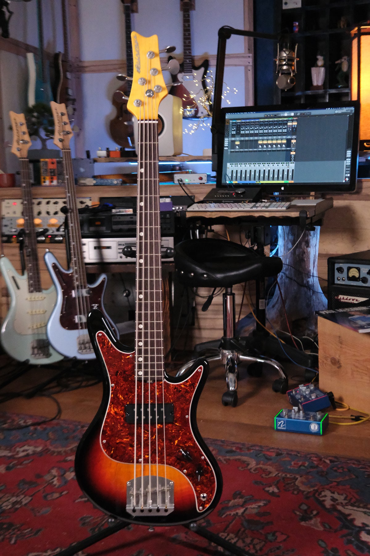 full view of the Acinonyx V - Faded 3-Tone Sunburst bass guitar