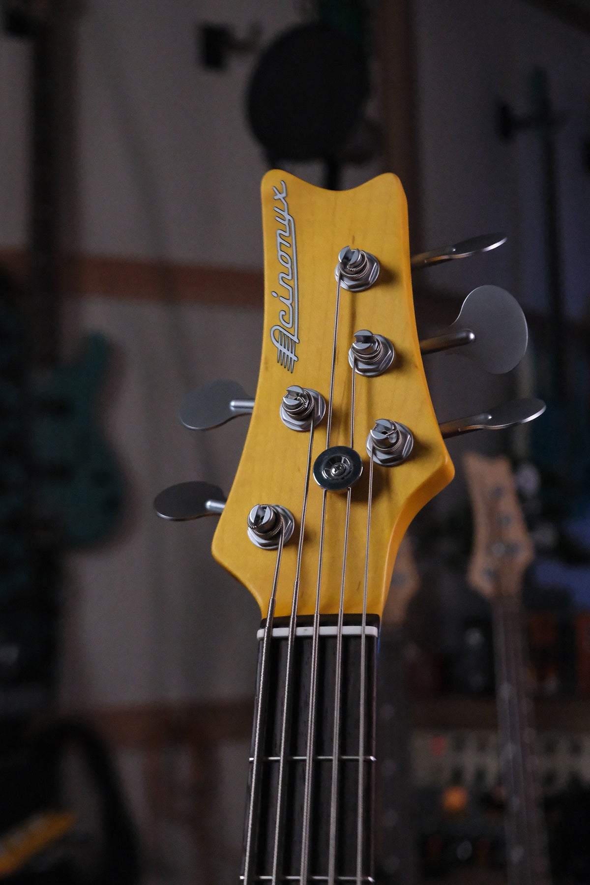 front headstock view of the Acinonyx V - Faded 3-Tone Sunburst bass guitar