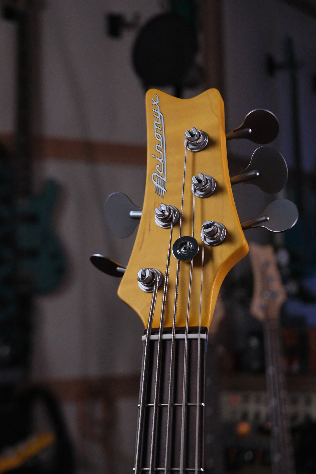 front view of the headstock of the Acinonyx V bass guitar