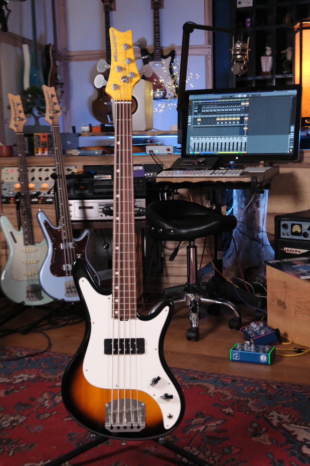 Full front view of the Acinonyx V - Two Tone Burst bass guitar