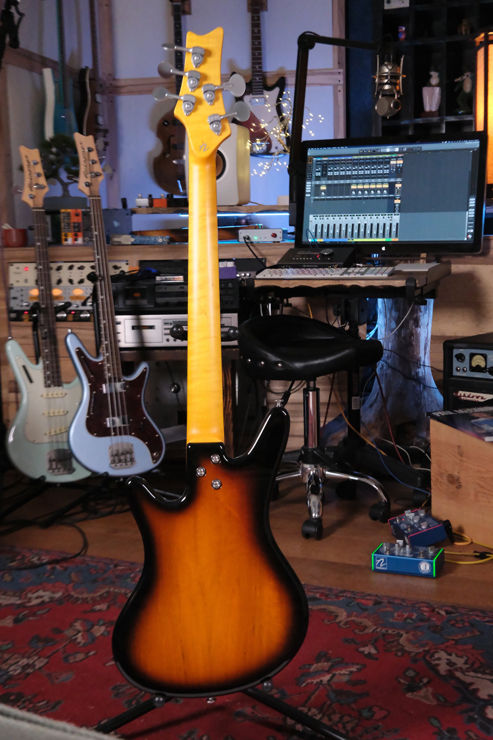 Full back view of the Acinonyx V - Two Tone Burst bass guitar