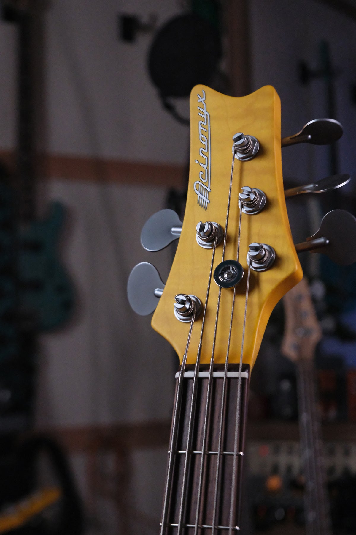 front of headstock view of the Acinonyx V - Two Tone Burst bass guitar