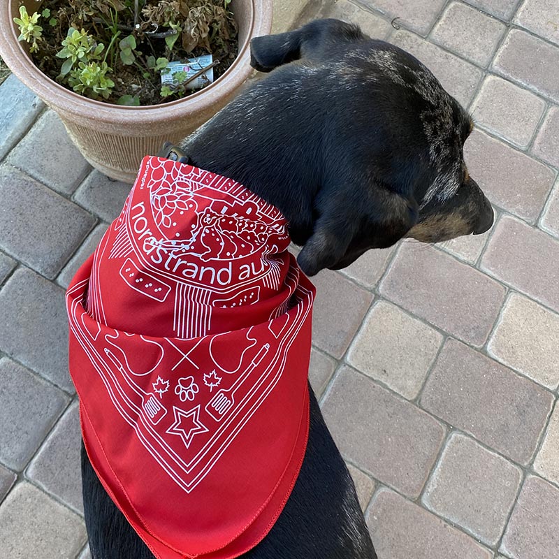 Vew of dog wearing Nordstrand Hometown Bandana in Red